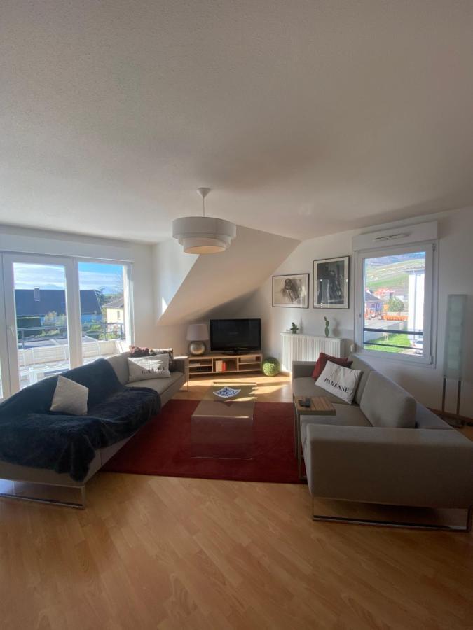 A2 Pas De Colmar Terrasse,Parking Apartment Wintzenheim Exterior foto