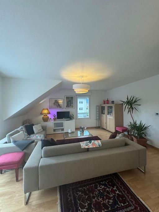 A2 Pas De Colmar Terrasse,Parking Apartment Wintzenheim Exterior foto